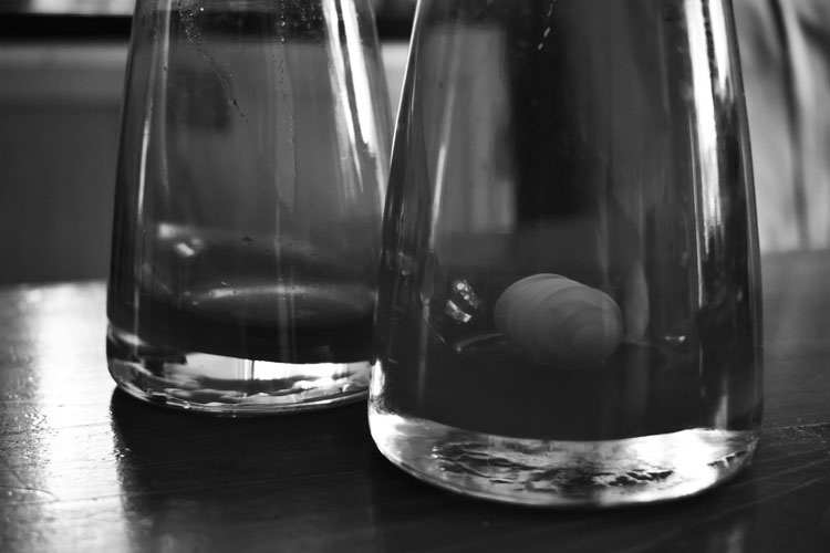 black and white photo of vases