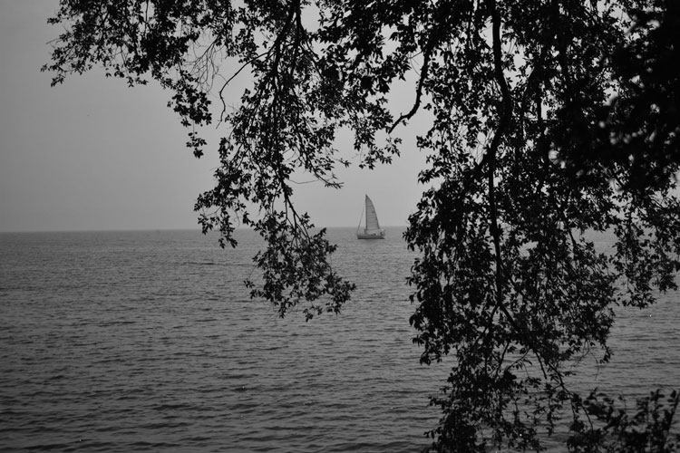black and white photo of boat