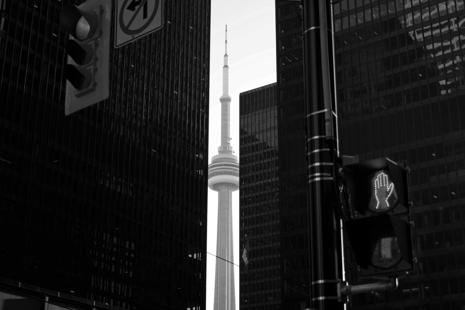 black and white photo of CN Tower