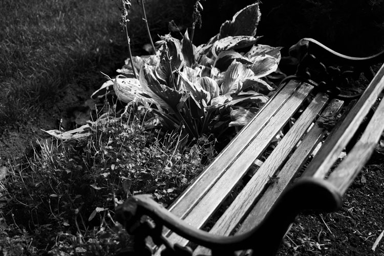 black and white photo of bench