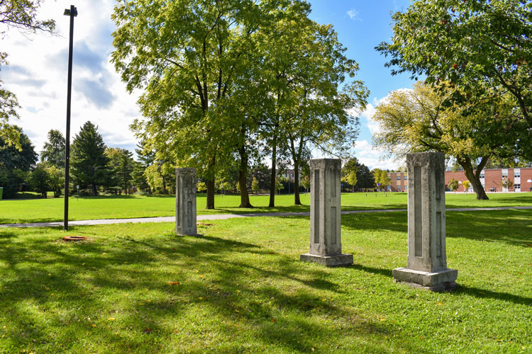 Waite Family Farm stone remnants at Glen Eden Park