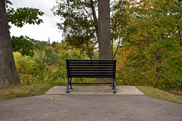 Bench overlooking nature scenery at Streetsville Cemetery