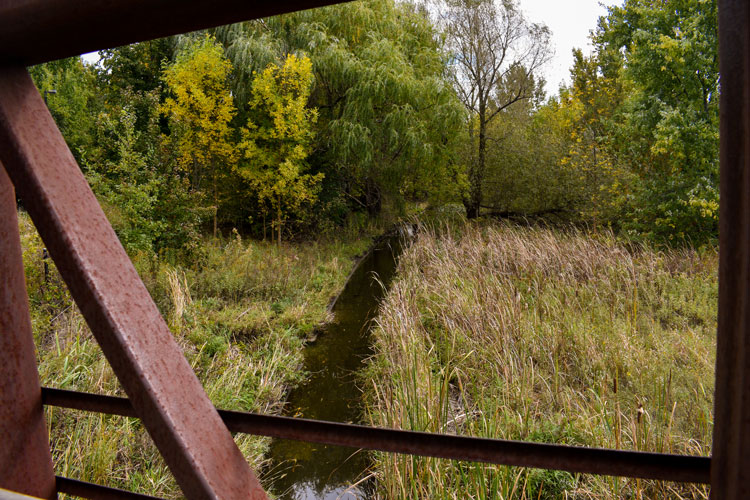 View of creek from the bridge at Lisgar Meadow Brook Trail