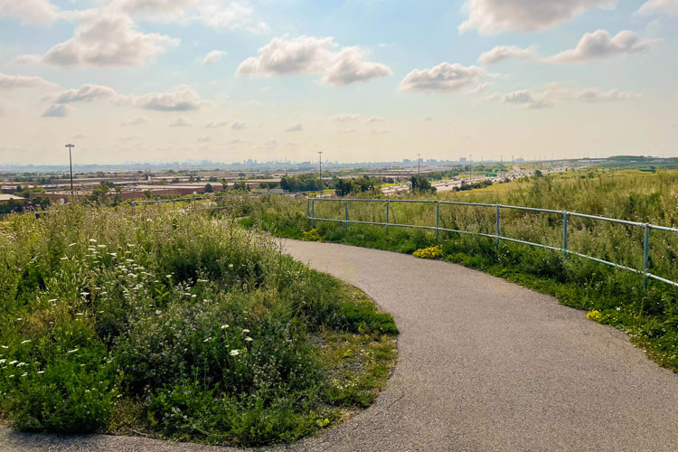 View of industrial area from the peak of Danville Park