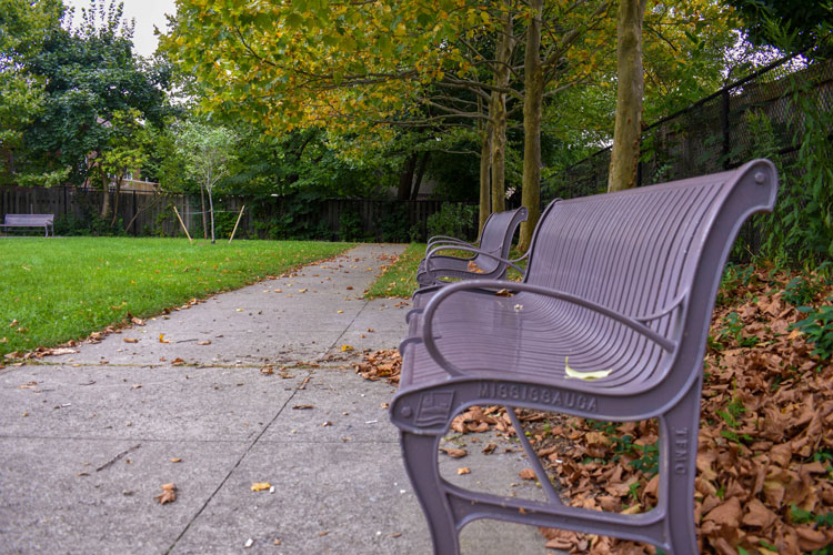bench at Harold E. Kennedy Park