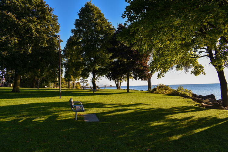 Bench overlooking the water through the trees at Ben Machree Park