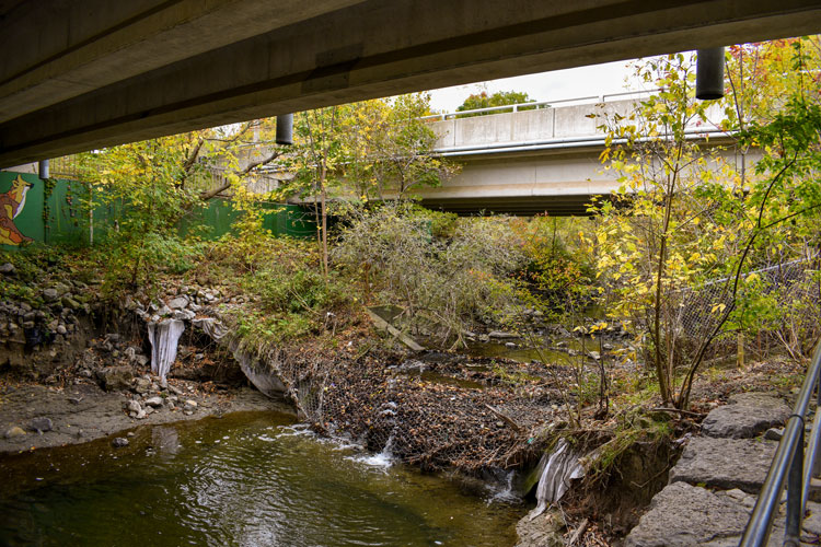 Creek at Sawmill Valley Trail