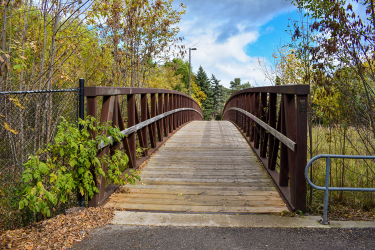 Bridge at Lisgar Meadow Brook Trail