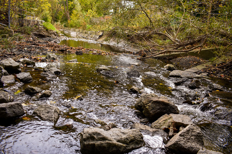 Close up of creek at Sawmill Valley Trail