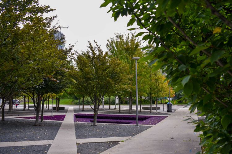 diagonally interconnected crosswalks at Scholars' Green