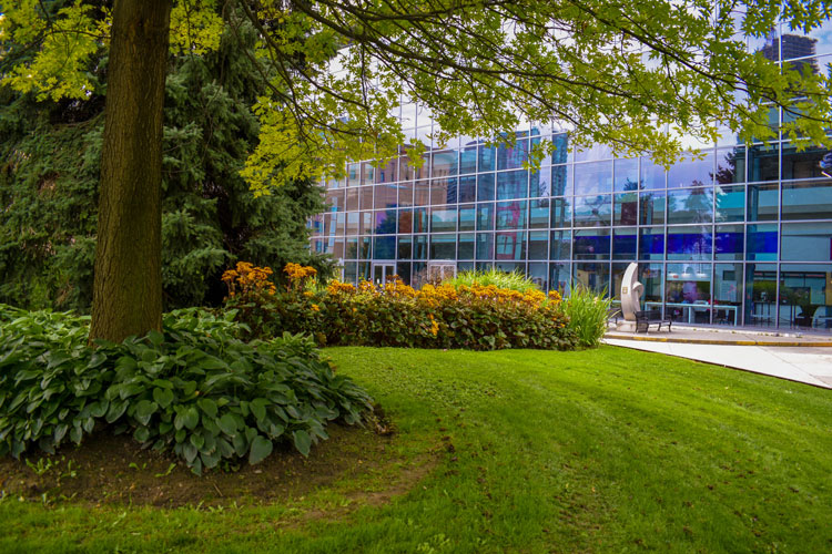 Lawn and garden at the Living Arts Centre