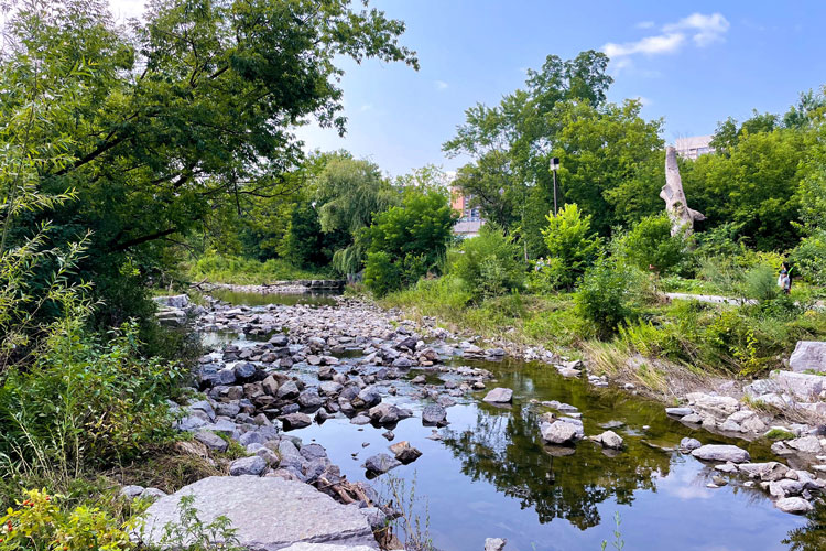 Creek from the view of the bridge at Mississauga Valley Park