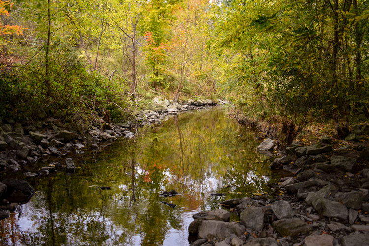 Creek at Sawmill Valley Trail