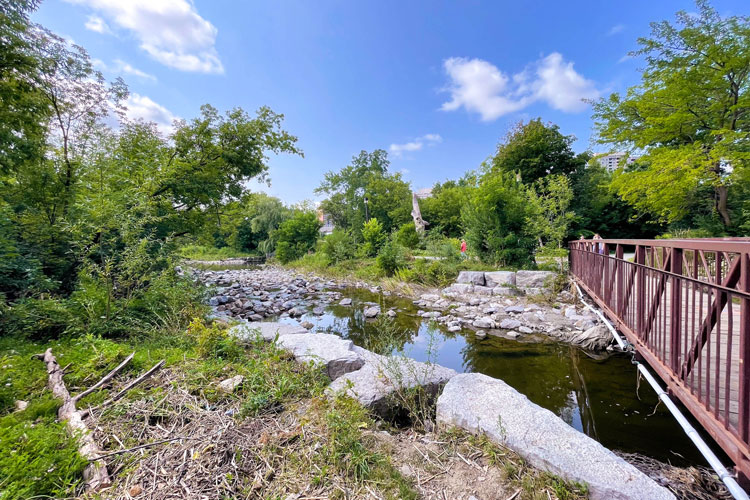 Creek from the view of the bridge at Mississauga Valley Park